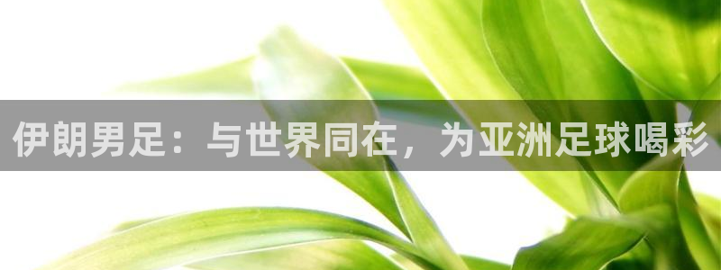 世界杯预选赛:伊朗男足:与世界同在,为亚洲足球喝彩