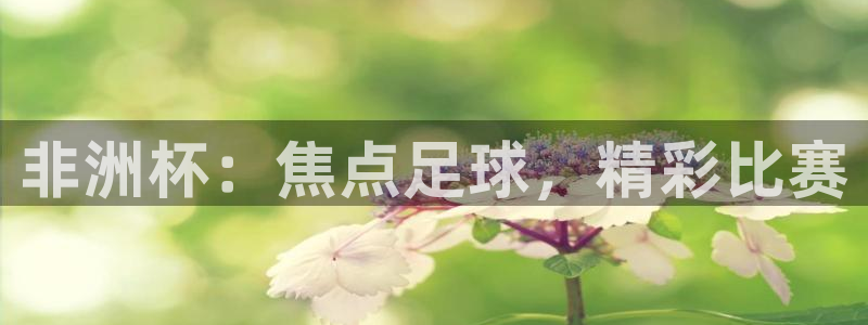 2026世界杯亚洲区预选赛:非洲杯:焦点足球,精彩比赛
