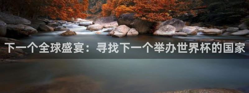 足球世界杯时间:下一个全球盛宴:寻找下一个举办世界杯的国家