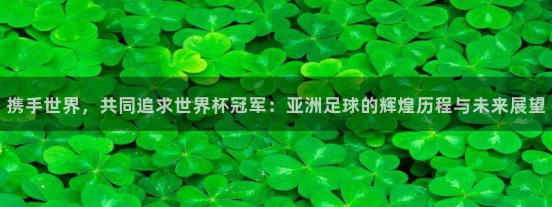 世界杯预选赛赛程时间表:携手世界,共同追求世界杯冠军:亚洲足球的辉煌历程与未来展望