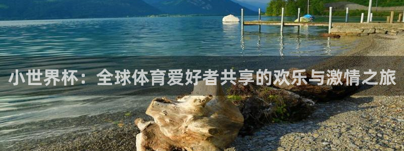 世界杯48支球队赛制:小世界杯:全球体育爱好者共享的欢乐与激情之旅